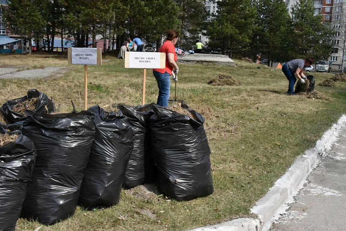 Тот, кто соберет мусора больше всех, получит приз: стартуют 